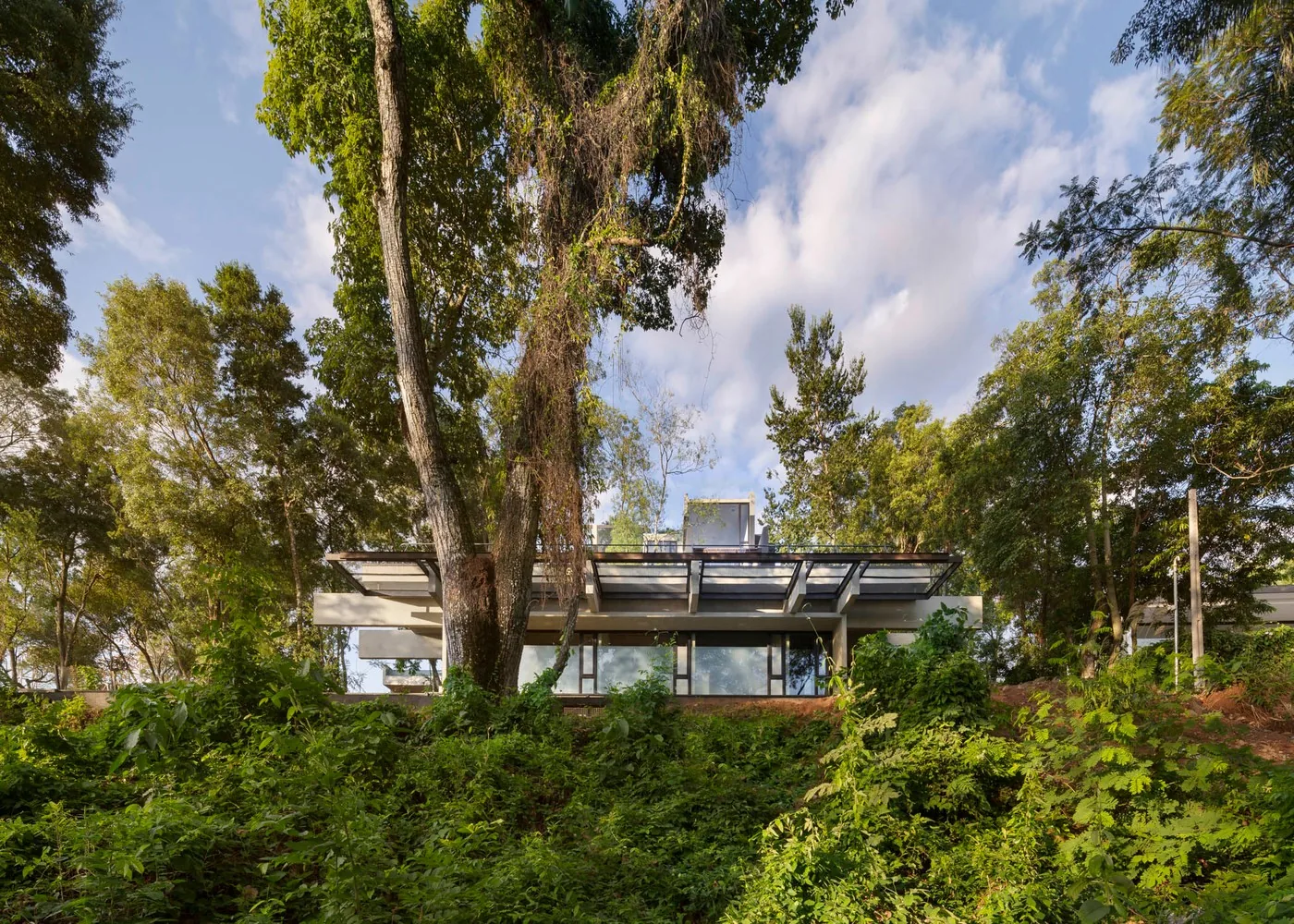 Casa Bosque, foto 7