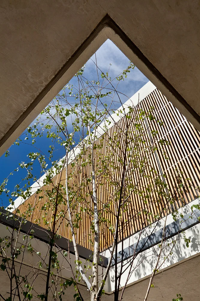 Casa Patios, foto 8